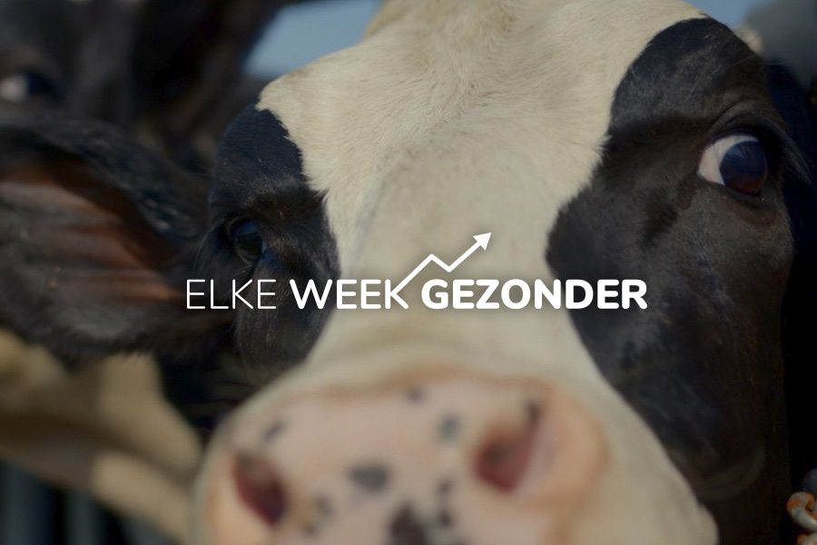 De uitdaging van de week: doe mee met de Nationale Week Zonder Vlees